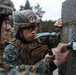 Combat Logistics Battalion 6 and Finnish Nylands Brigade Conduct Urban Demolition Ranges