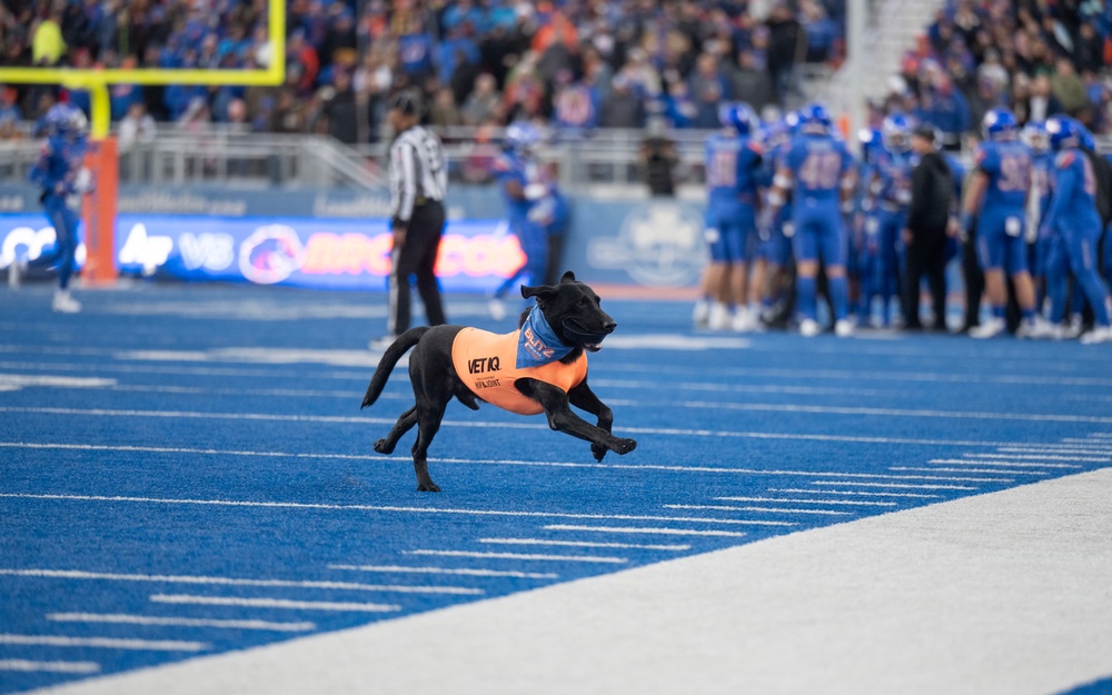 USAFA football at Boise State