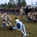 3rd Sustainment Brigade Conducts Physical Training Competition