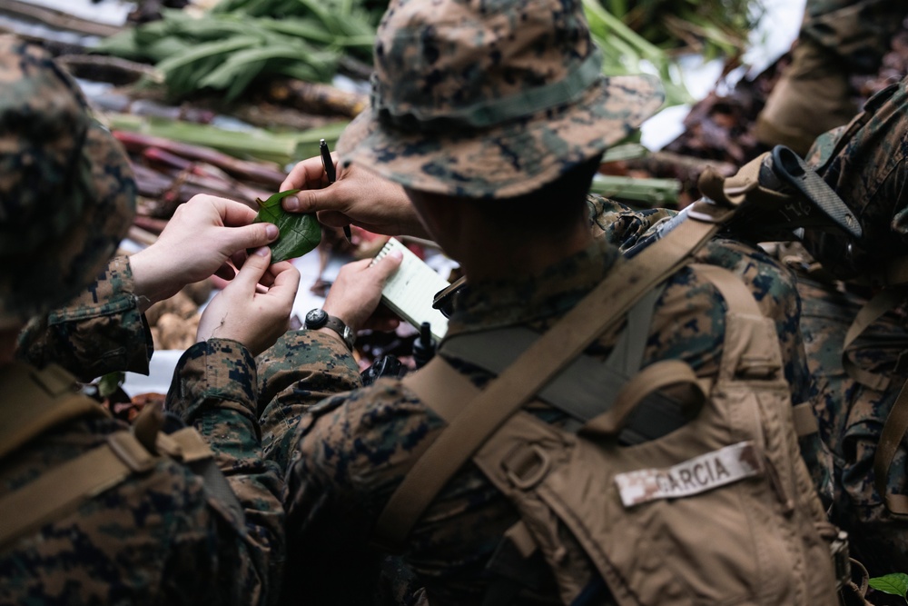 KERIS MAREX: Jungle Survival Training