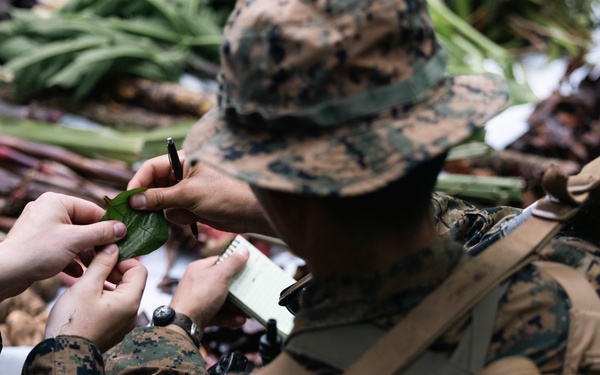 KERIS MAREX: Jungle Survival Training