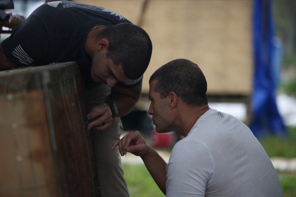 Rain or shine | DPAA pushes forward