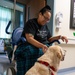 Four-legged friends bring smiles to KMC