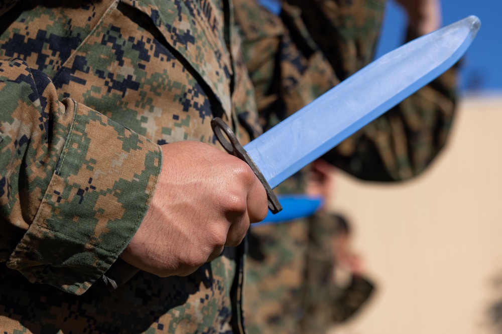 MARFORRES Marines sharpen hand-to-hand combat skills through MCMAP