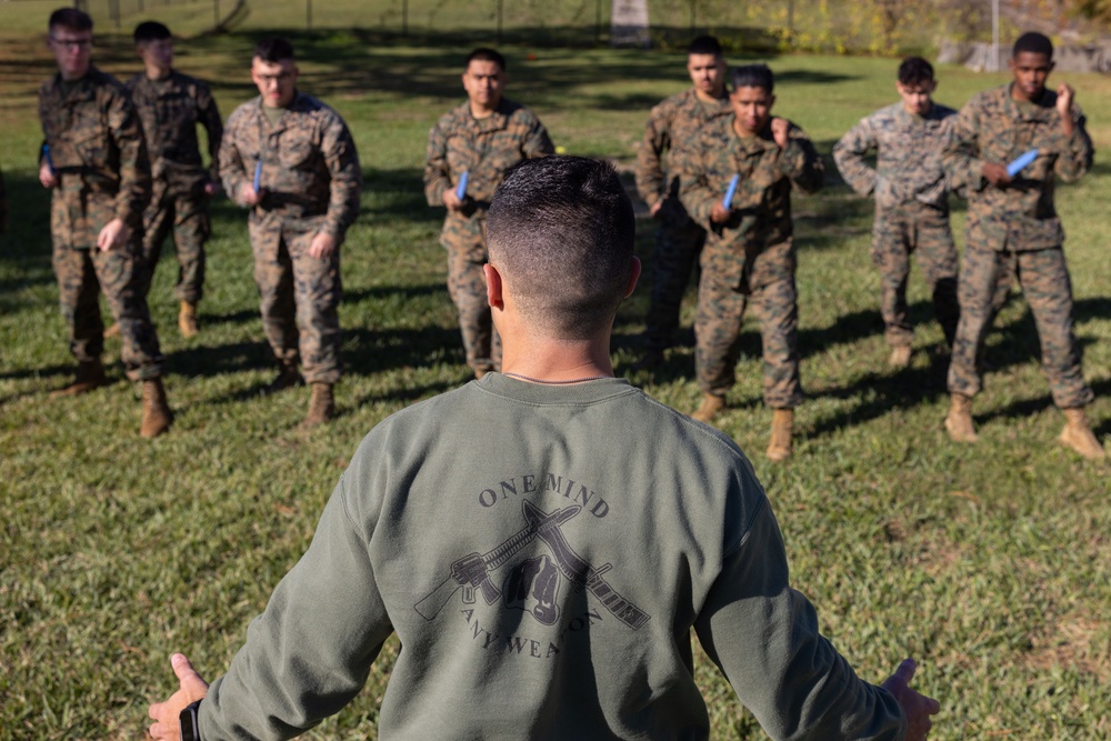 MARFORRES Marines sharpen hand-to-hand combat skills through MCMAP