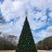 Arnold AFB Christmas tree lighting set for Dec. 4