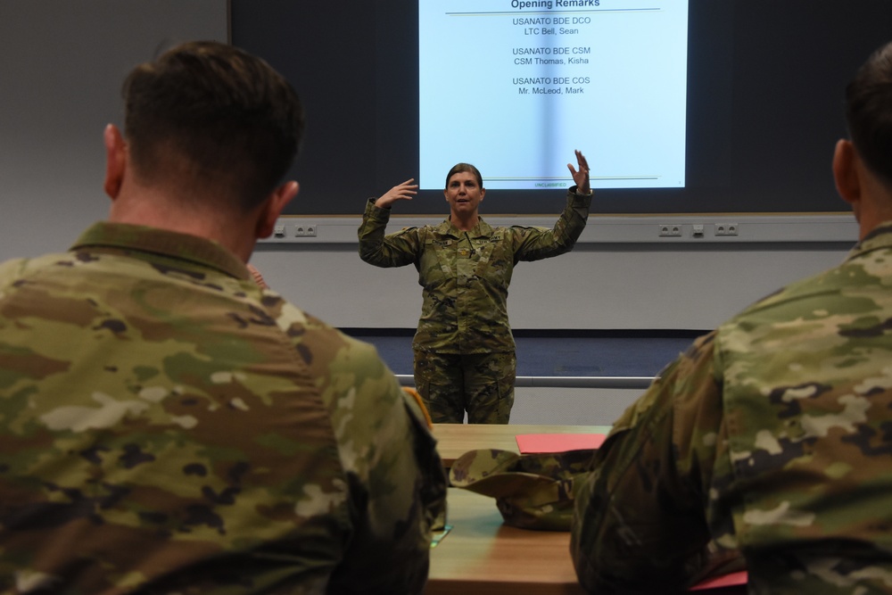 Soldiers from across Europe meet in Germany for readiness training