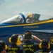 Navy Flight Demonstration Squadron Performs in Fort Lauderdale, FL.