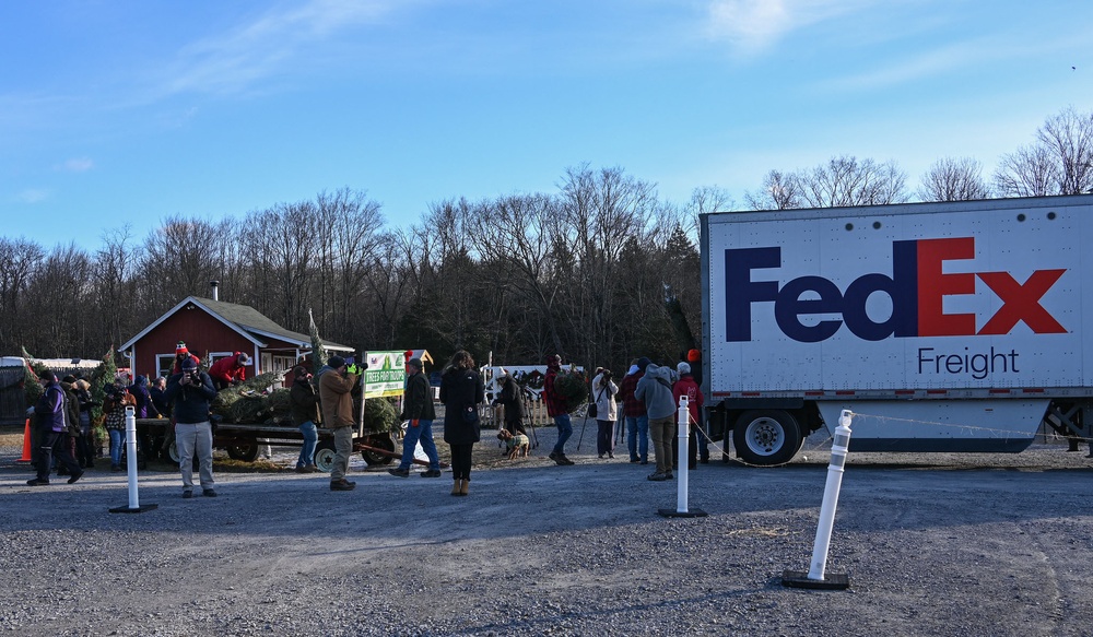 NY National Guard Soldiers Volunteer to Load Trees for Troops