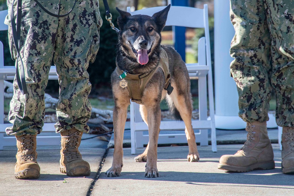 NAS Oceana celebrates retiring military working dog