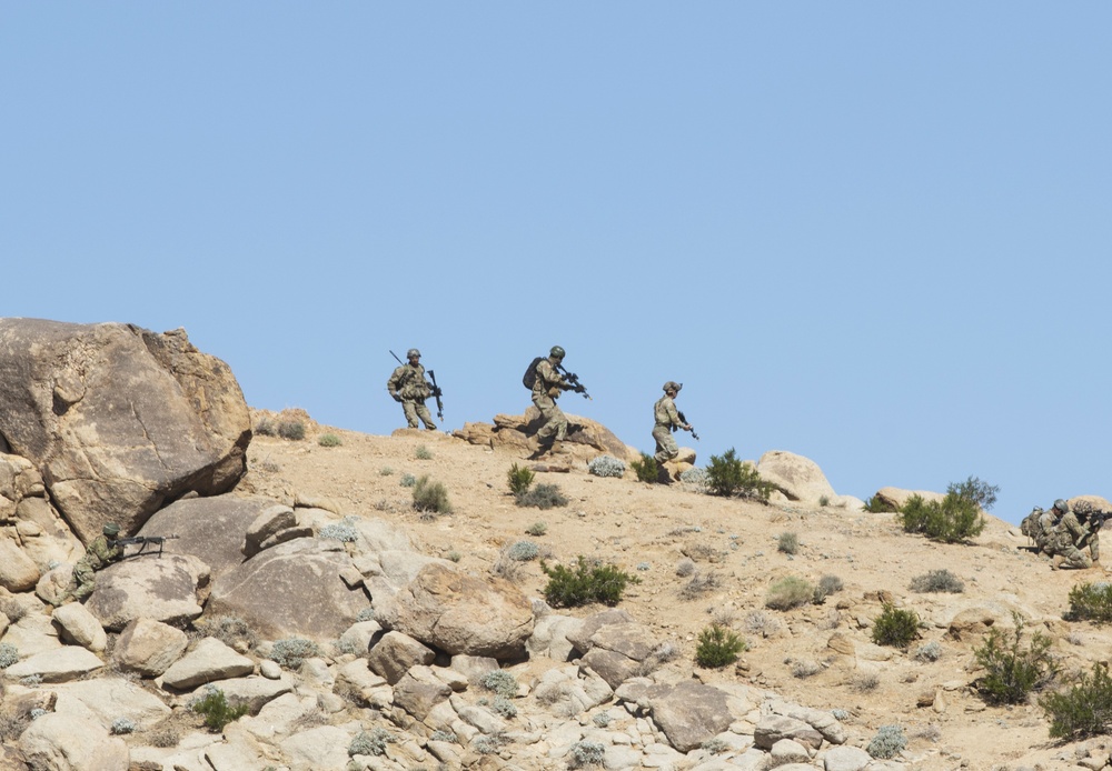 Distinguished guests visit Fort Irwin NTC