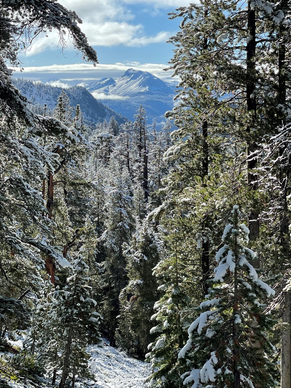 Navy Medicine Readiness and Training Command Lemoore supports NAS Lemoore’s search and rescue and security units in Eastern Sierra Mountains