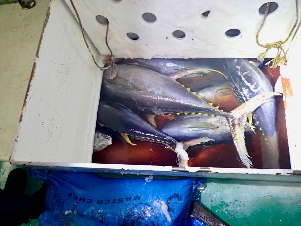 USCGC Frederick Hatch (WPC 1143) conducts IUU fisheries boardings