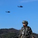 U.S. 2CAB, 2ID/RUCD and Korean 902 Aviation Bn., 2CAB Combined Aviation Live Fire Exercise