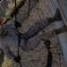 Alpha Company Gas Chamber and Rappel Tower