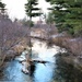 Early catch-and-release trout season in 2024 at Fort McCoy opens Jan. 6