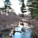 Early catch-and-release trout season in 2024 at Fort McCoy opens Jan. 6