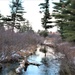 Early catch-and-release trout season in 2024 at Fort McCoy opens Jan. 6