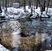 Early catch-and-release trout season in 2024 at Fort McCoy opens Jan. 6