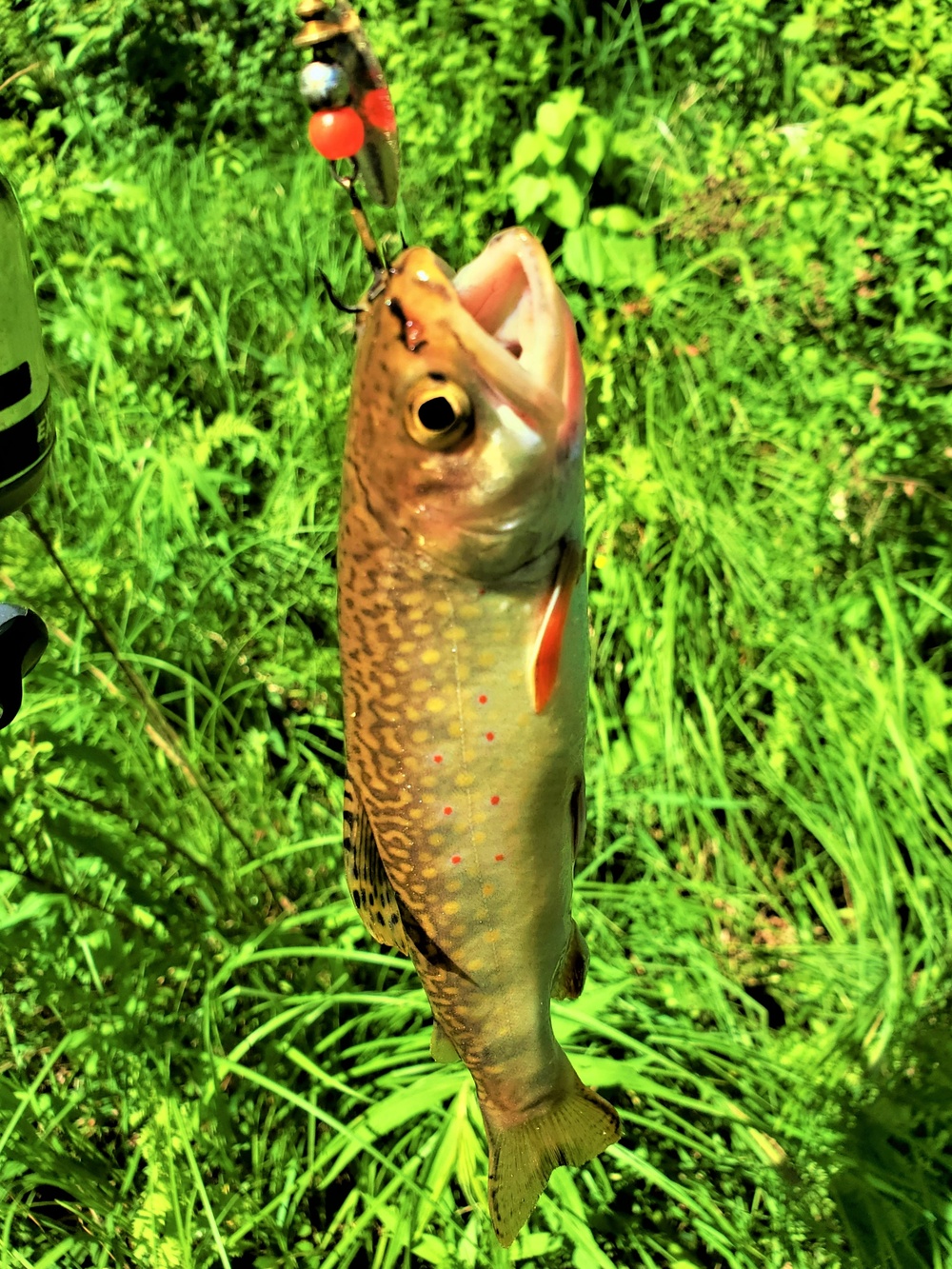 DVIDS Images Early catchandrelease trout season in 2024 at Fort