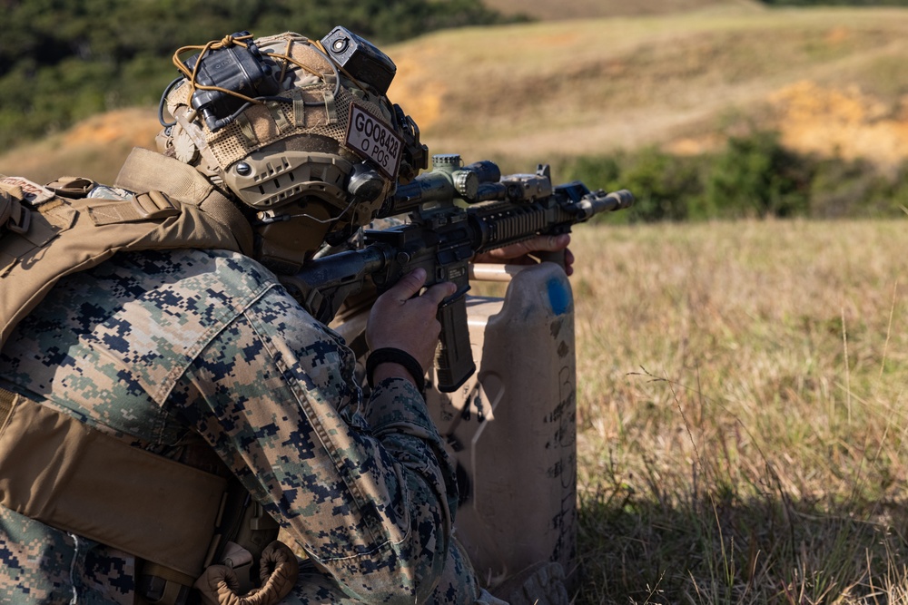 DVIDS - Images - Marines with Battalion Landing Team 1/1 Conduct ...