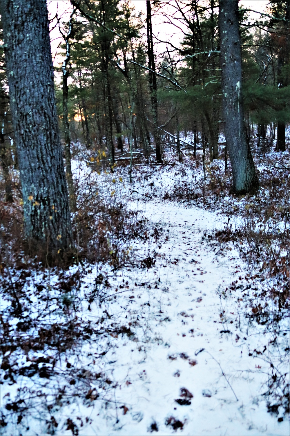 Fort McCoy's Pine View Recreation Area