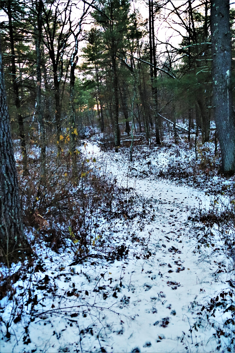 Fort McCoy's Pine View Recreation Area