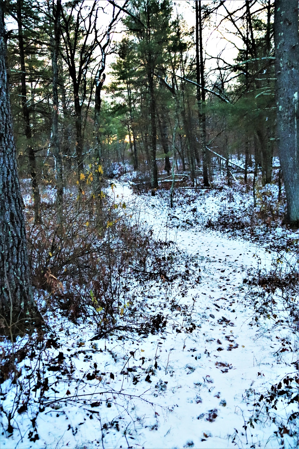 Fort McCoy's Pine View Recreation Area