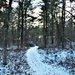 Fort McCoy's Pine View Recreation Area