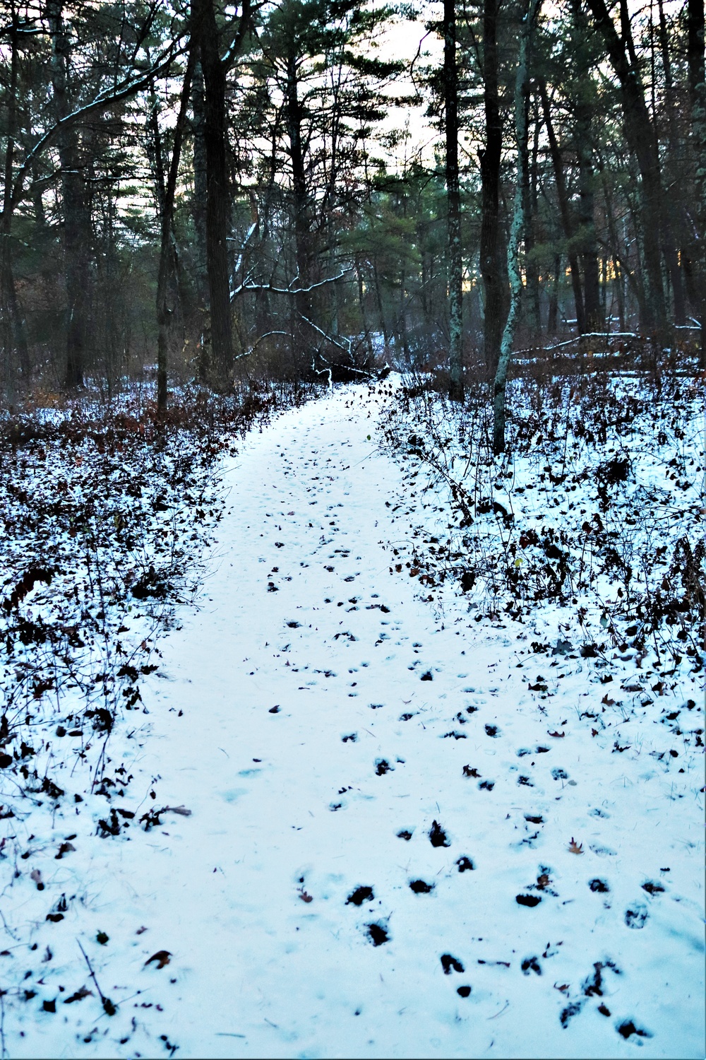 Fort McCoy's Pine View Recreation Area