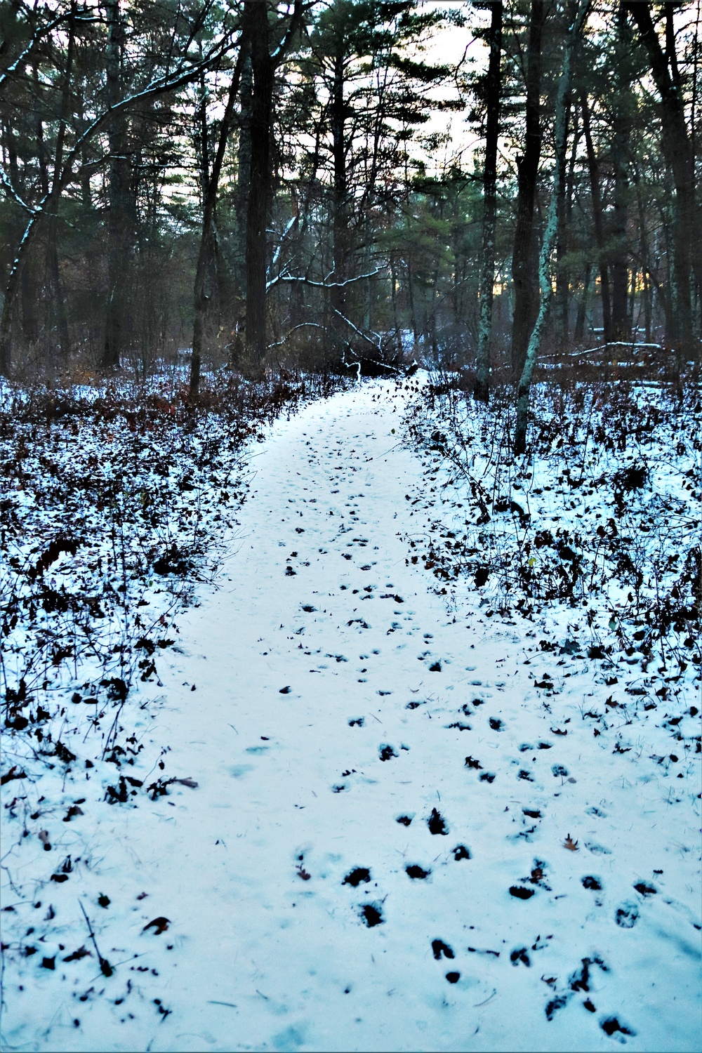 Fort McCoy's Pine View Recreation Area