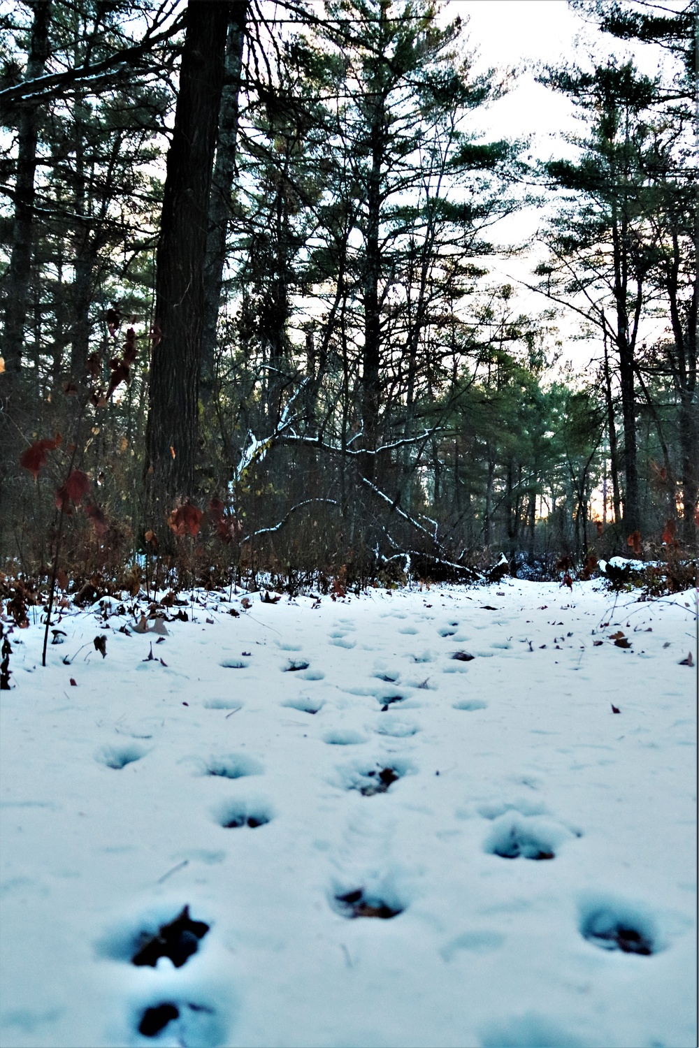 Fort McCoy's Pine View Recreation Area