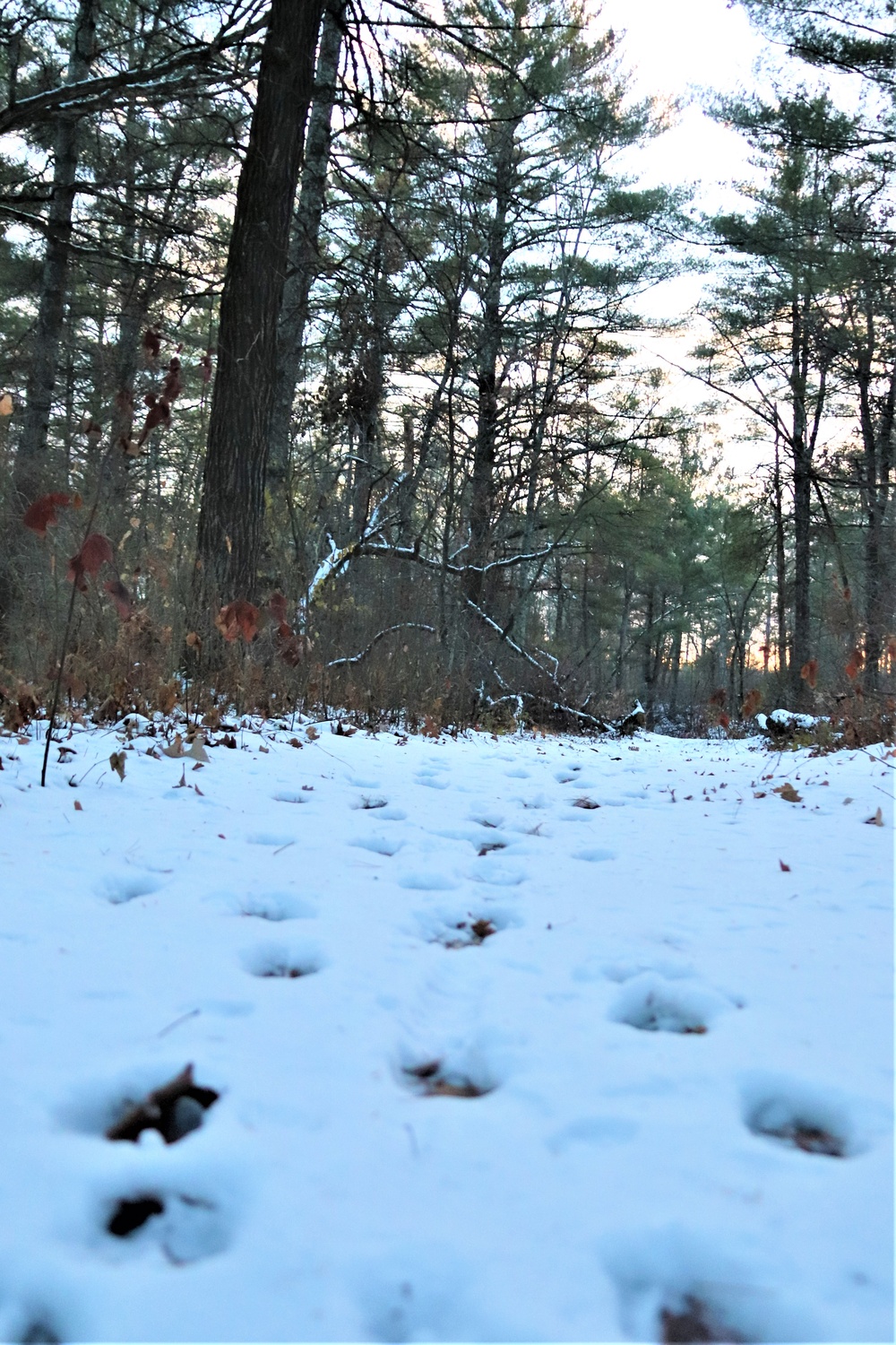 Fort McCoy's Pine View Recreation Area