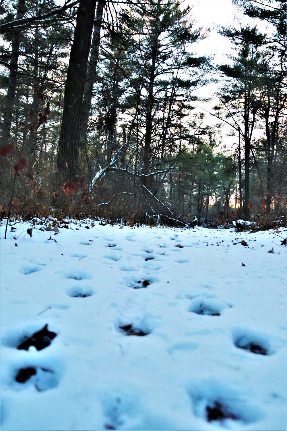 Fort McCoy's Pine View Recreation Area