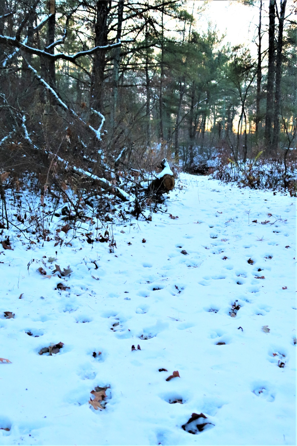 Fort McCoy's Pine View Recreation Area