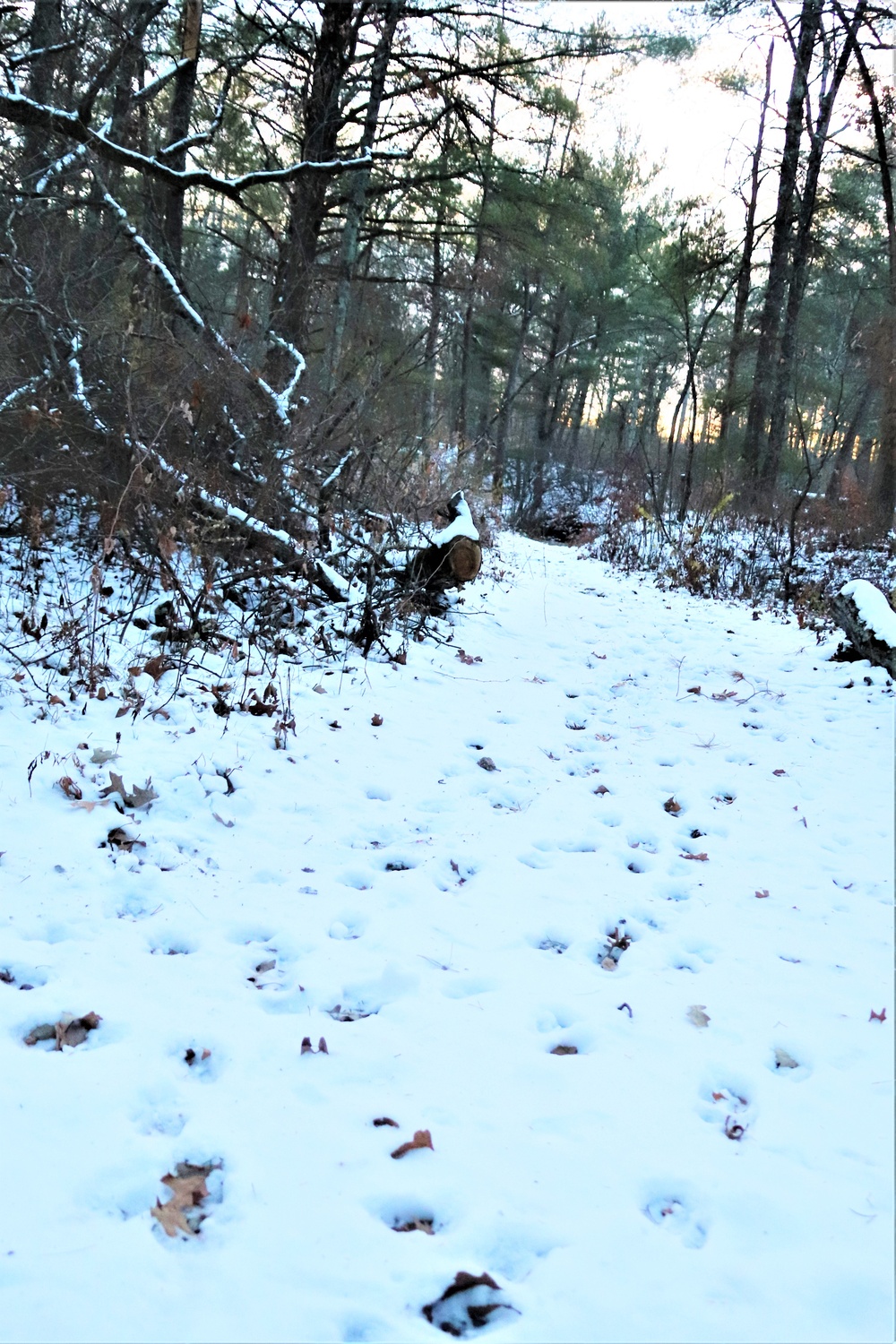 Fort McCoy's Pine View Recreation Area