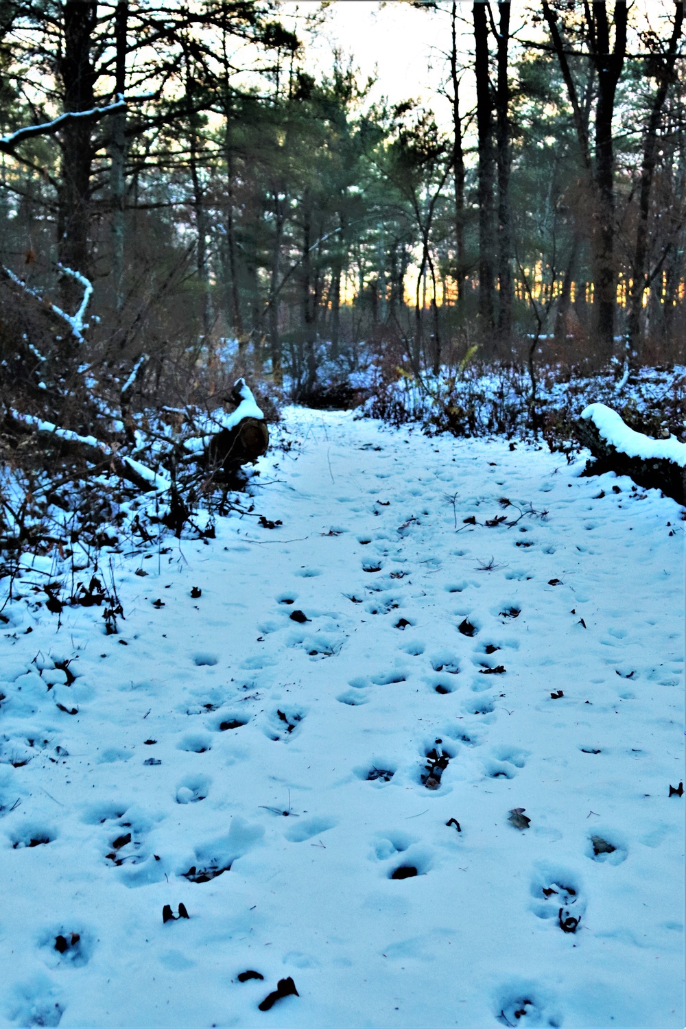 Fort McCoy's Pine View Recreation Area