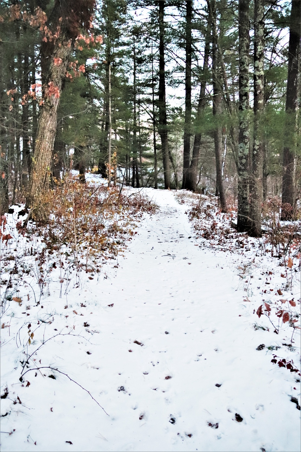 Fort McCoy's Pine View Recreation Area