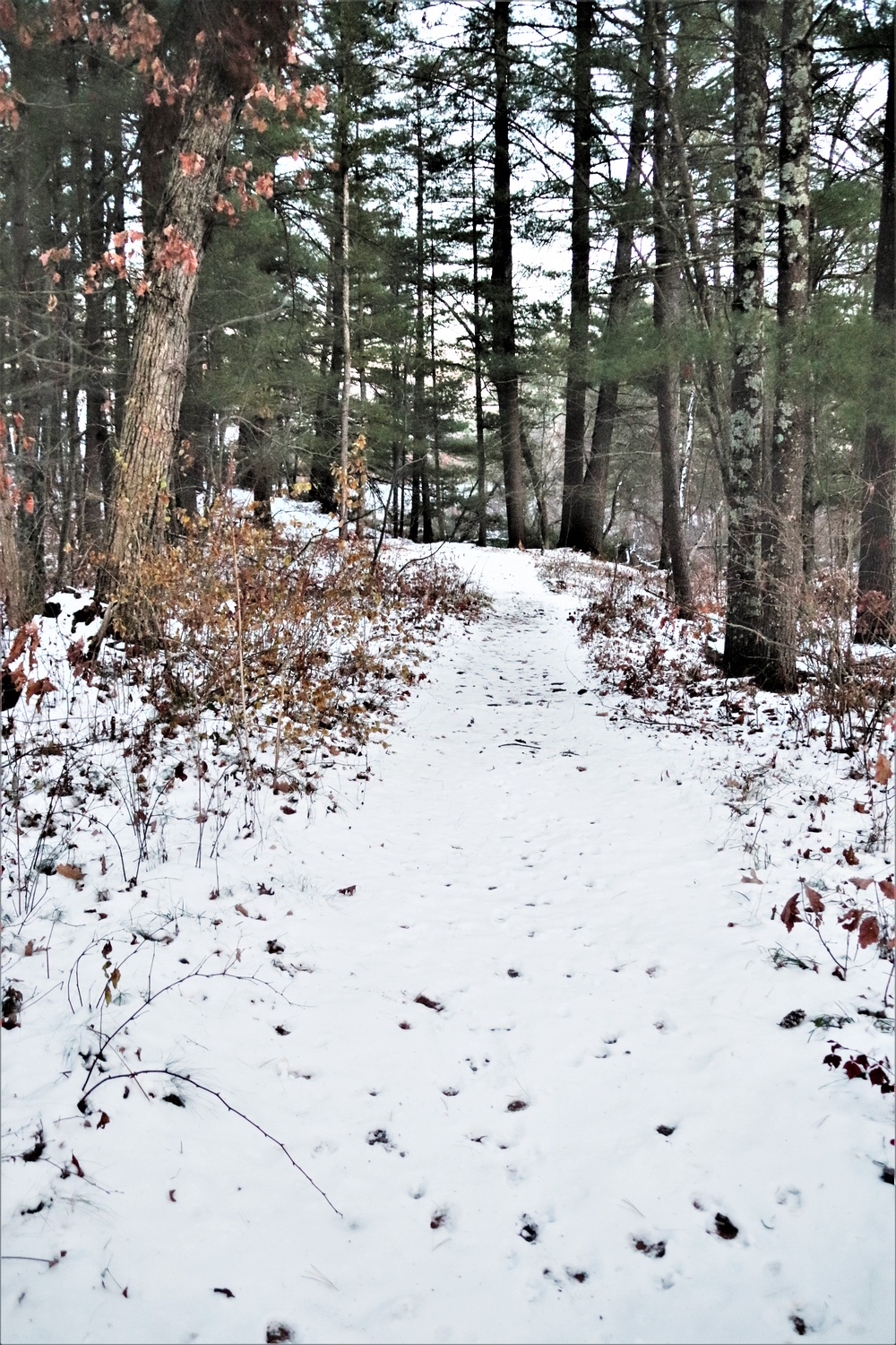 Fort McCoy's Pine View Recreation Area