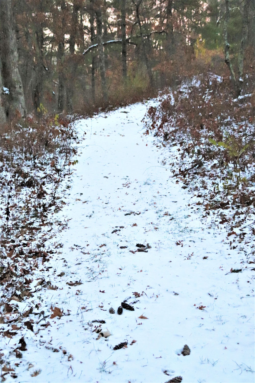 Fort McCoy's Pine View Recreation Area