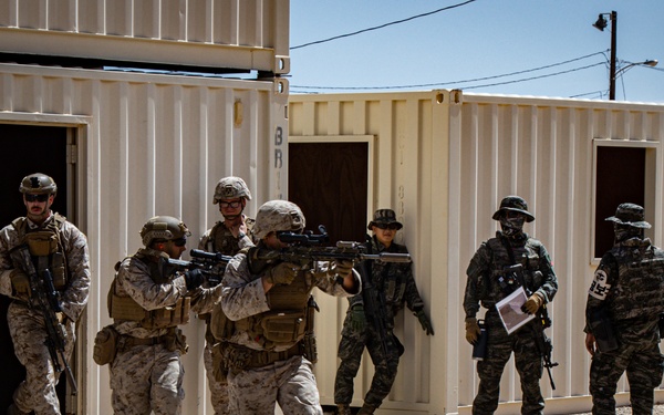 U.S. Marines and Republic of Korea Marines conduct a series of close-quarter battle trainingduring Service Level Training Exercise 5-23