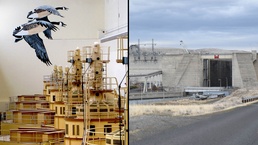 Waiting in the wings: A history of Little Goose Lock and Dam