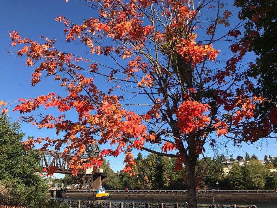 Lake Washington Ship Canal