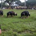 The 130th Engineer Brigade conducts a fallen Sapper memorial workout