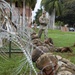 U.S. Army Soldiers from the 130th Engineer Brigade participate in the Pacific Engineer Week 2023, Sapper Stakes Competition