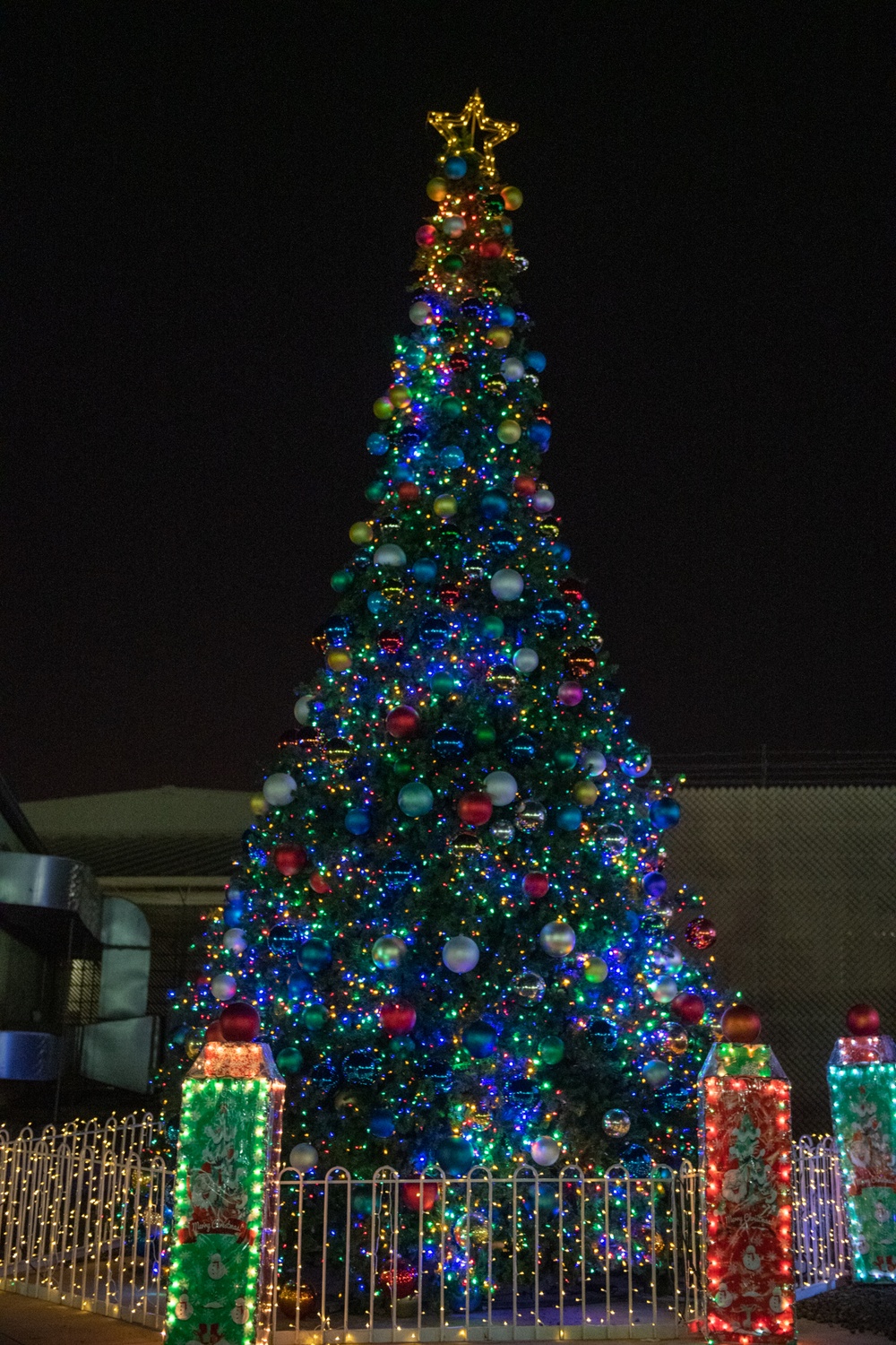 DVIDS Images Camp Lemonnier Lights up the Christmas Tree [Image 3 of 4]