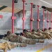 Travis AFB M4 Training