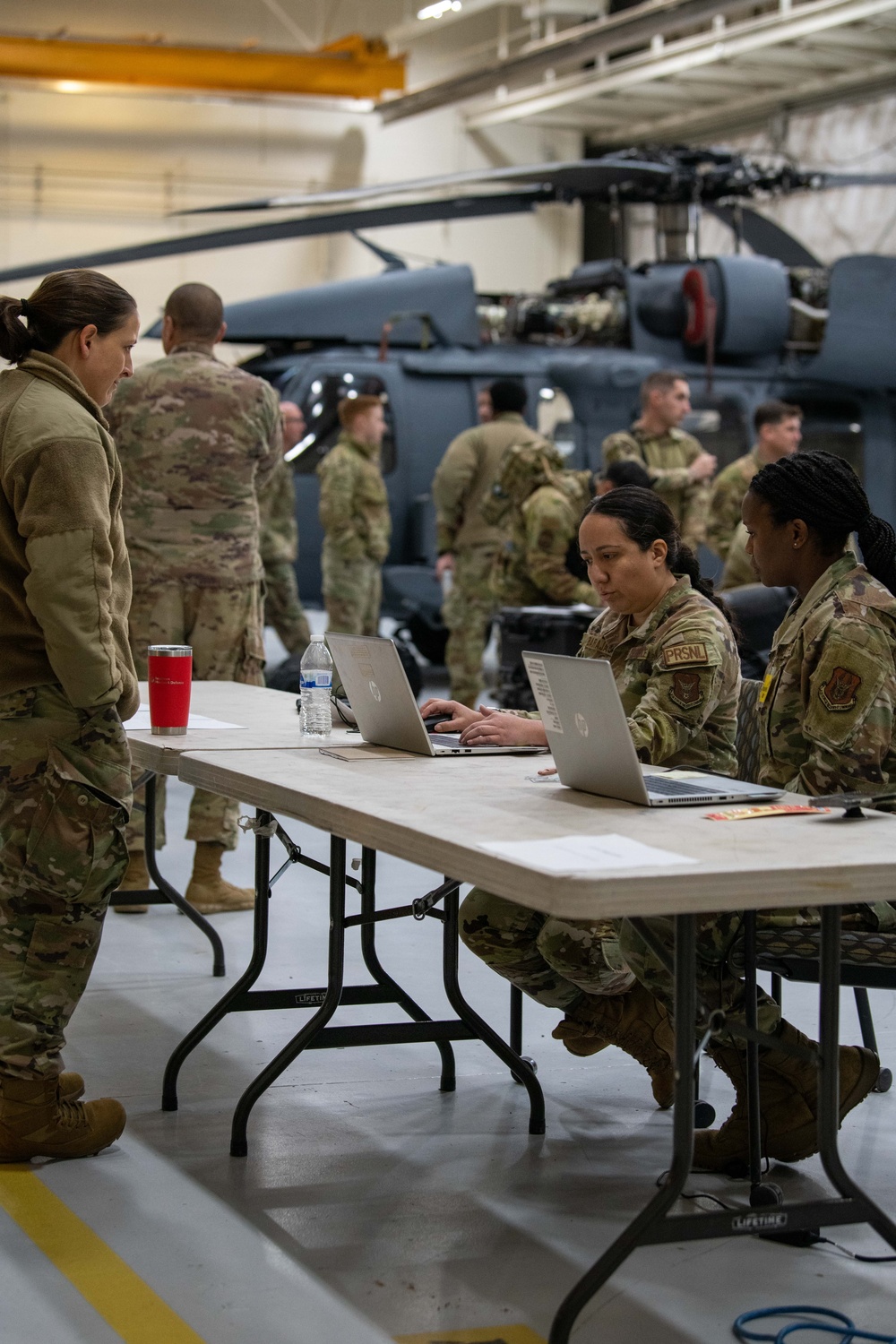 Distant Fury Stallion 23