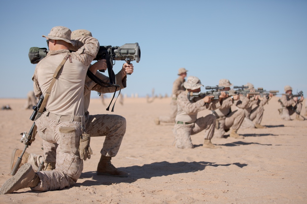 Steel Knight 23.2: 2nd Bn., 5th Marines rehearses infantry tactics