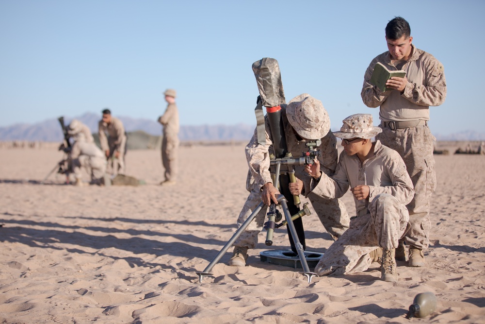 Steel Knight 23.2: 2nd Bn., 5th Marines rehearses infantry tactics